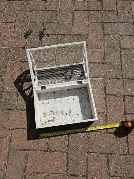 Photo of free Plant container (Malvern WR14) #3