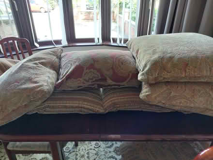 Photo of free Feather filled sofa pillows (Willenhall WV12) #1