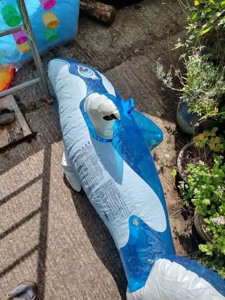 Photo of free Inflatable dolphin (Allithwaite LA11) #1
