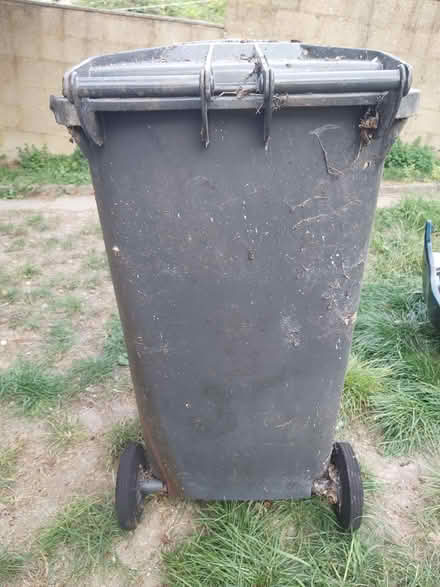 Photo of free Big Water Butt Originally a Bin (Dallow LU1) #3