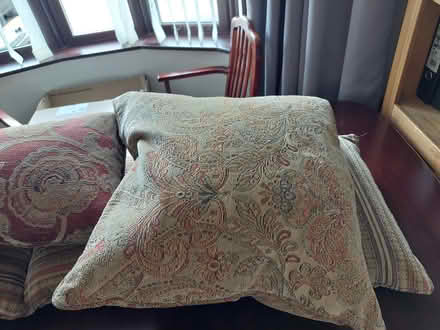 Photo of free Feather filled sofa pillows (Willenhall WV12) #2