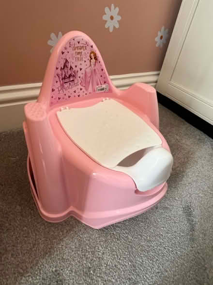 Photo of free Unused Princess potty (W12) #1