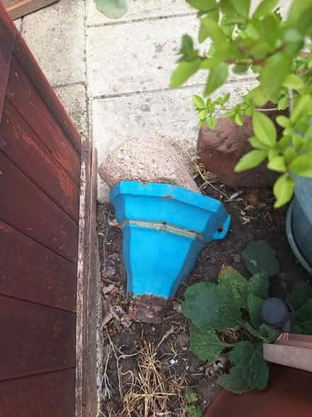 Photo of free Blue hopper (GL51) #1