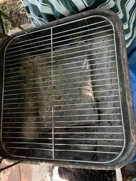 Photo of free charcoal grill (Rockville) #2