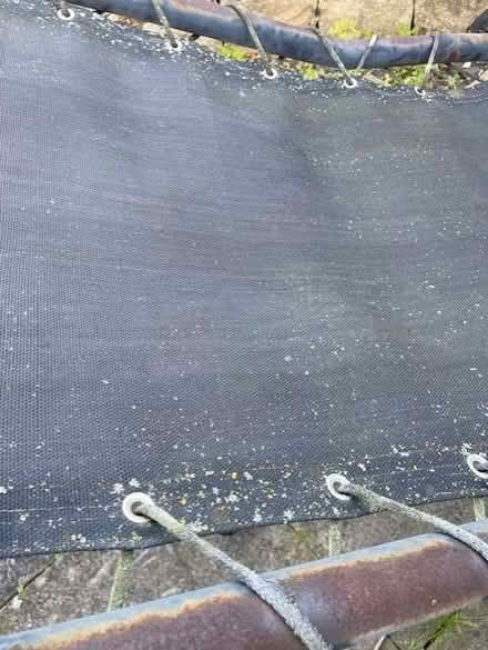 Photo of free Garden Chair (Brigstock NN14) #3