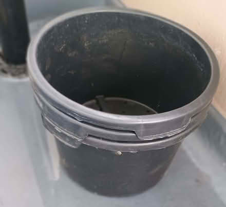 Photo of free Buckets (Elizabeth Gate TW8) #1
