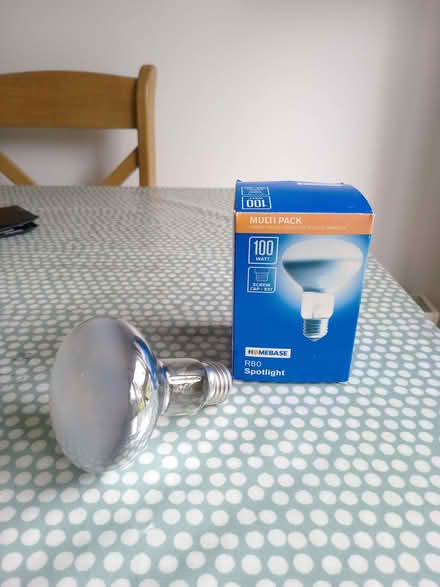 Photo of free Homebase R80 Spotlight 100w (Telford and Wrekin TF7) #1