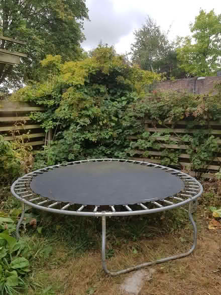 Photo of free Large trampoline (Gospel Oak NW5) #2