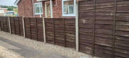 Photo of free Fence Panels (Catton NR6) #1