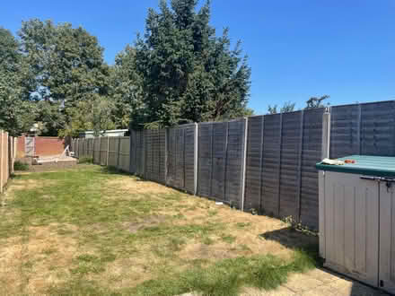 Photo of free 7, 6 x 6 fence panels (Old Town SG1) #3