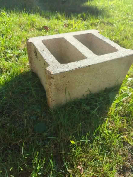 Photo of Cement Blocks (Cinder Blocks) (Ann Arbor, Central Campus) #1
