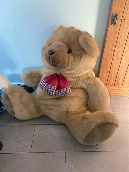 Photo of free Giant teddy bear (NG10 (Sandiacre)) #1