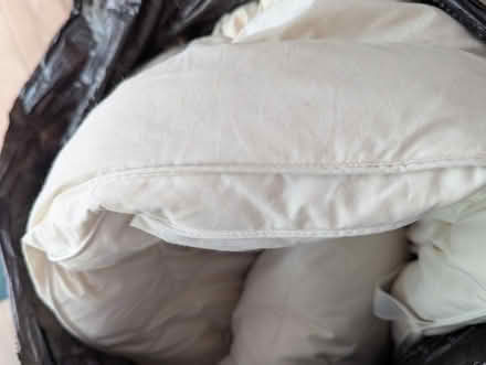Photo of free Double mattress topper, feather (S8 0NW) #1