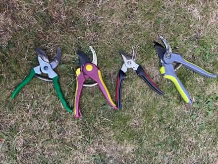 Photo of free Secateurs (Allerton L18) #2