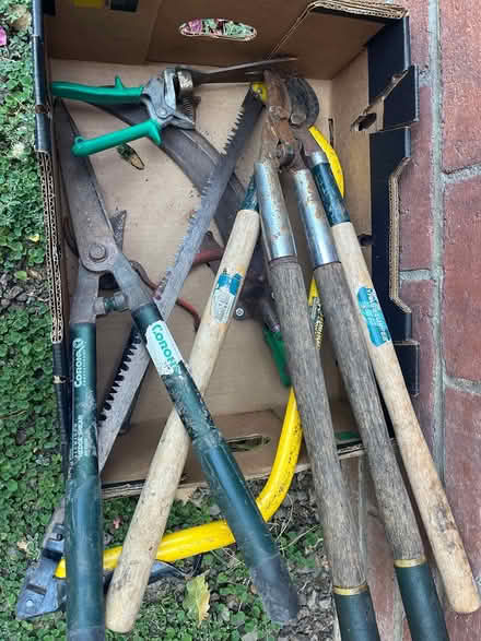 Photo of free Gardening tools (Central San Rafael) #1