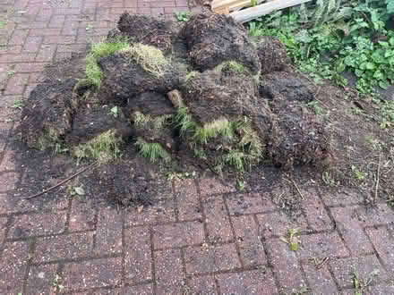 Photo of free Turf (NE34 7hz) #1