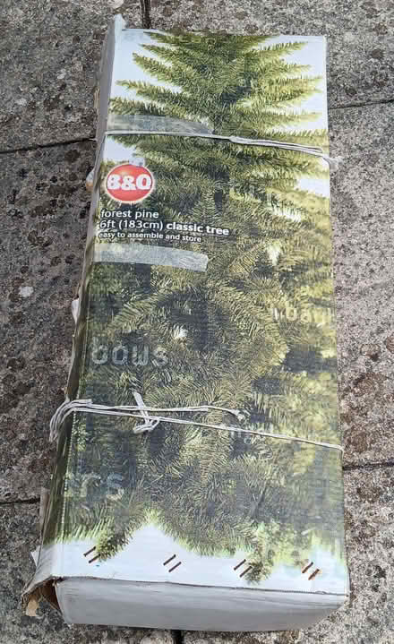 Photo of free 6ft Xmas tree (Bussage GL6) #1