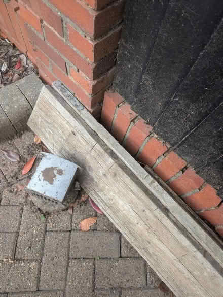 Photo of free 2 scaffold boards (Shenfield, CM15) #1