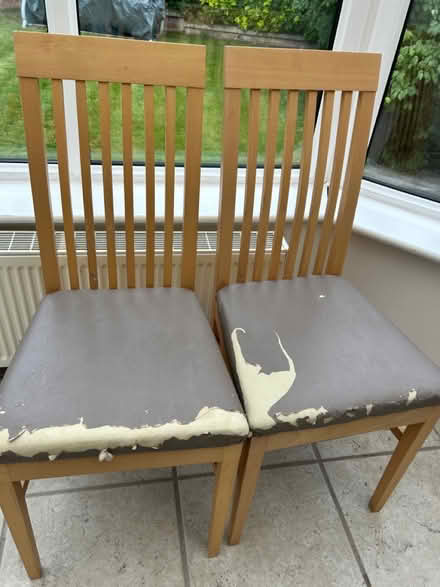 Photo of free 2 wooden chairs (Ladybridge) #1