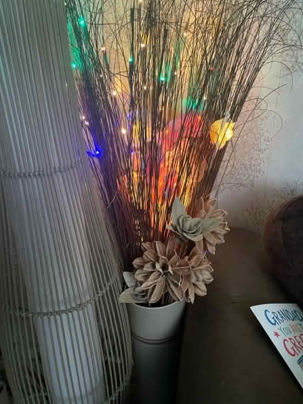Photo of free Decor job lot (PR5 Clayton brook) #2
