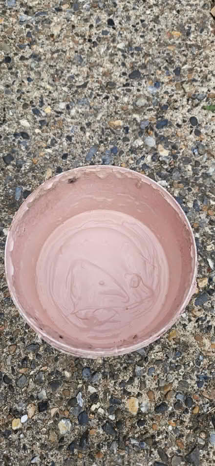 Photo of free Paint (CT8) #3