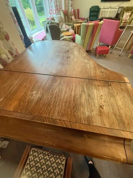 Photo of free Bluthner Piano (Alice Bright Lane area TN6) #2