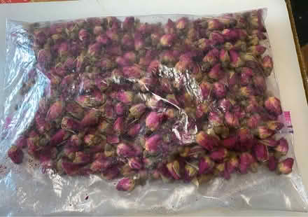 Photo of free Rosebuds (Mimico) #1