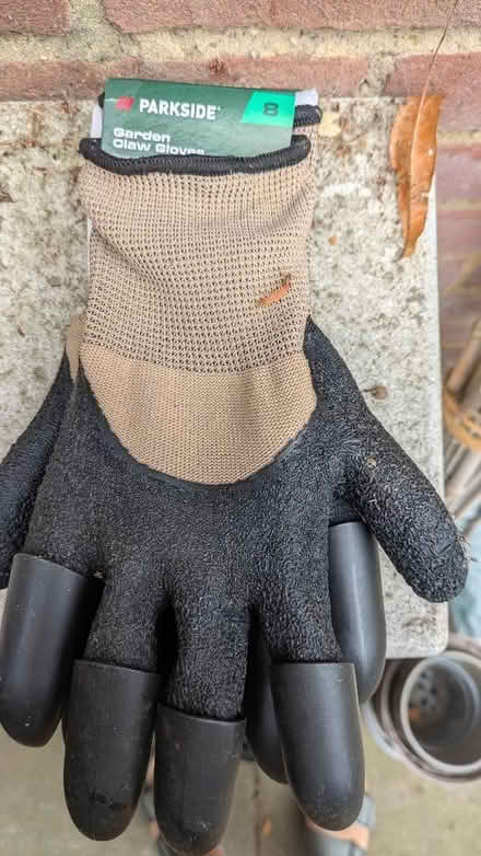 Photo of free Claw gloves (Leckhampton GL53) #1