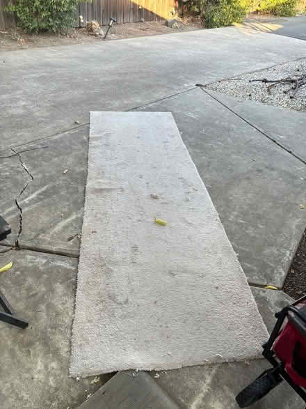 Photo of free Carpet walkway (Ayers ranch) #2
