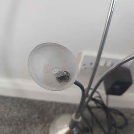 Photo of free Lamp - new plug (Me14 2ha) #2