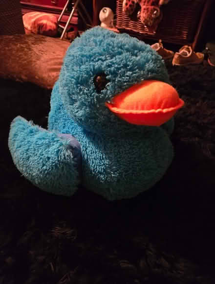 Photo of free Big blue duck (BS5) #2