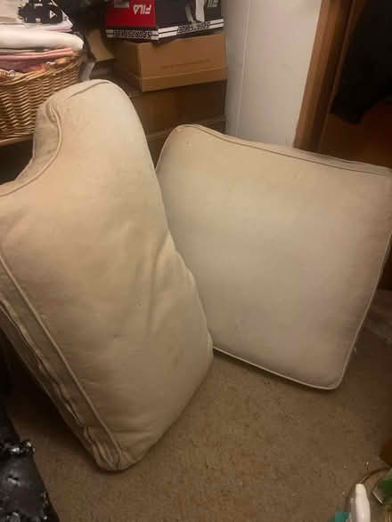 Photo of free Large cushions - pet beds (RG6) #1