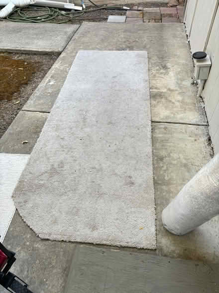 Photo of free Carpet walkway (Ayers ranch) #1