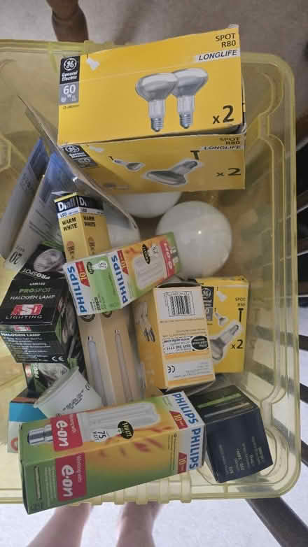 Photo of free Various light bulbs (Plymouth PL3) #2