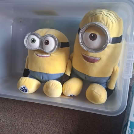 Photo of free 2 Minions (Wickford SS12) #1