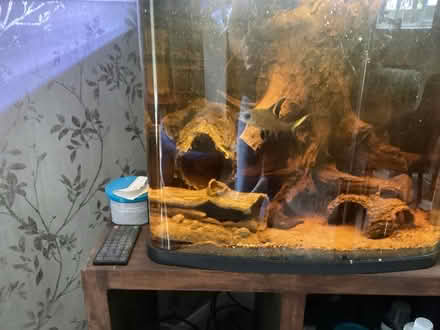 Photo of free Fish tanks (Lancaster willow lane) #2