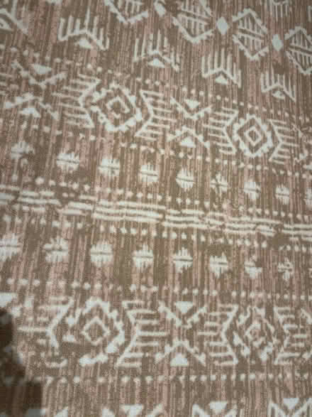 Photo of free Area Rug (Aurora) #2