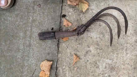 Photo of free Garden have cultivator (Leckhampton GL53) #1