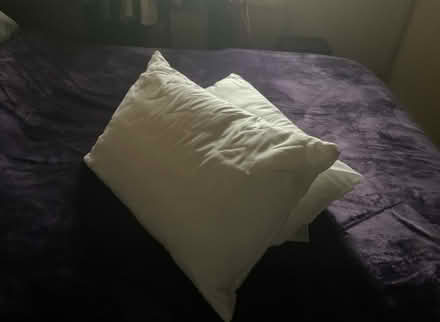 Photo of free Two brand new pillows (Astley Bridge BL1) #1