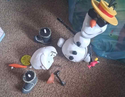 Photo of free Olaf (Wickford SS12) #1