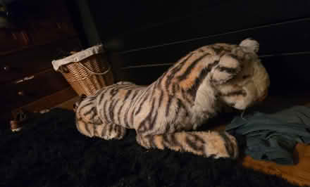 Photo of free Vintage esso stuffed tiger (BS5) #3