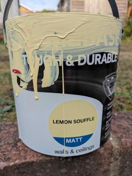 Photo of free Lemon Wall &Ceiling paint (Eastwood SS9) #1