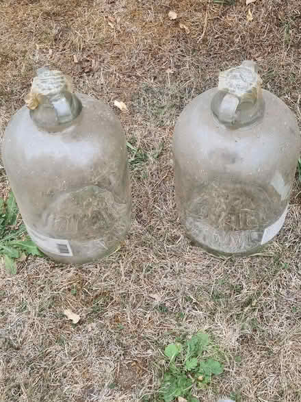 Photo of free Two demijohns (Virginia Water) #1
