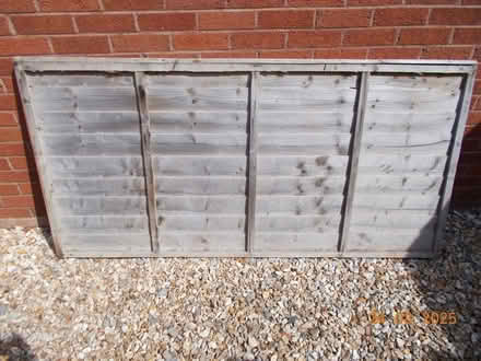 Photo of free Larchlap fence panel (Seaton EX12) #1