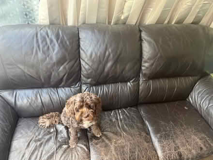 Photo of free Sofa (Gidea Park RM2) #1