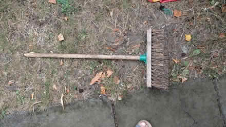 Photo of free Brush (Leckhampton GL53) #1