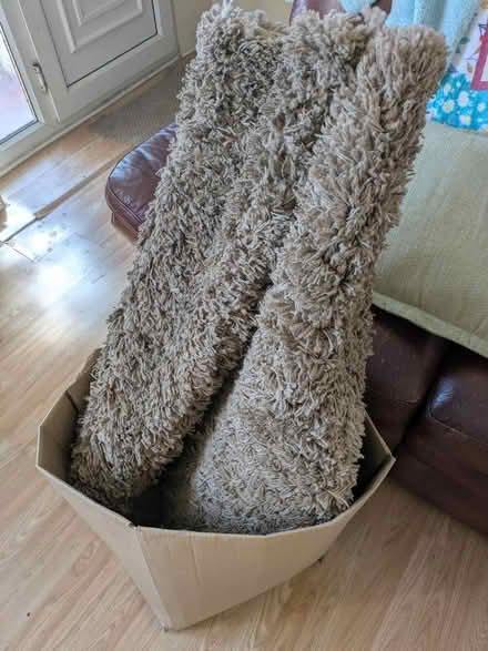 Photo of free Rug. (Sutton Manor WA8) #1