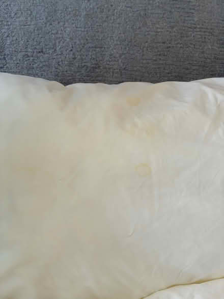 Photo of free Pair of Dorma pillows - used (Lewisham, SE13) #3