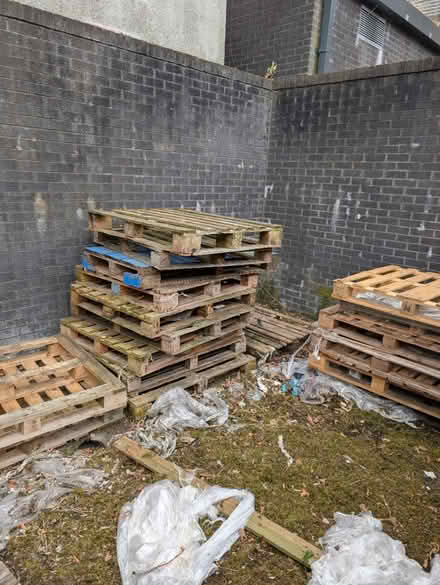 Photo of free Pallets (WA10) #1