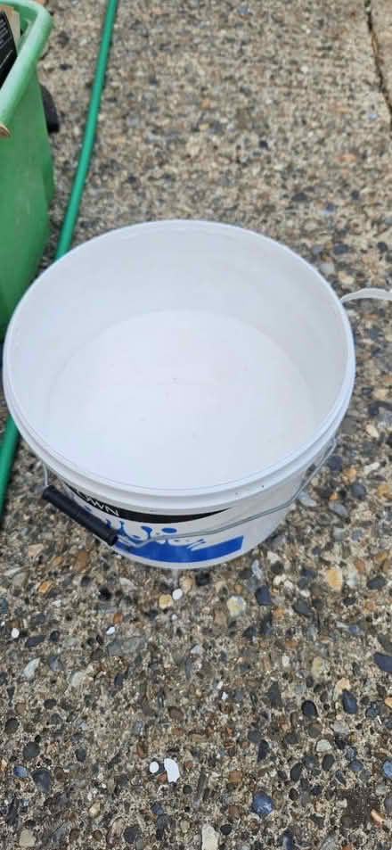 Photo of free Paint (CT8) #2